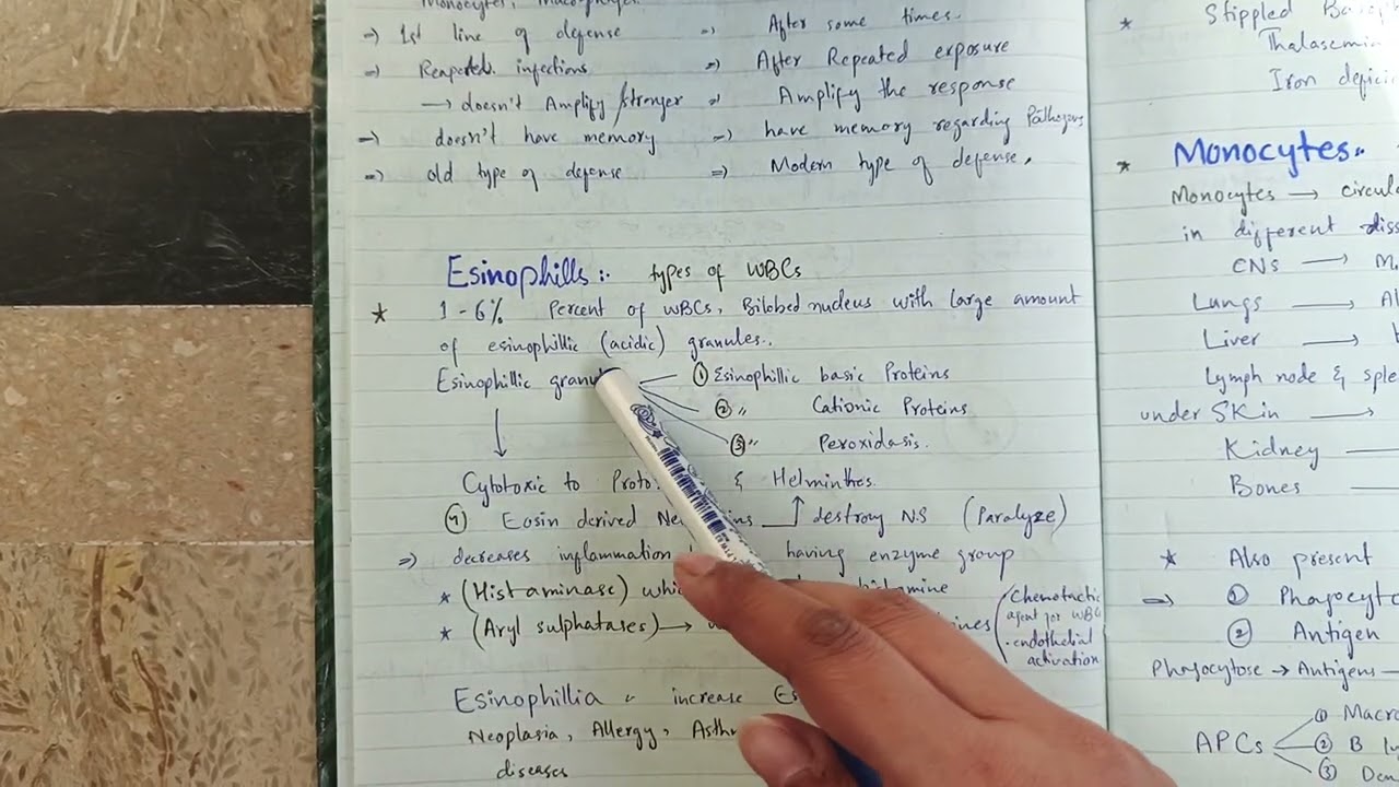 Characteristics of Eosinophils | Structure, Function & Clinical Importance in Hindi / Urdu