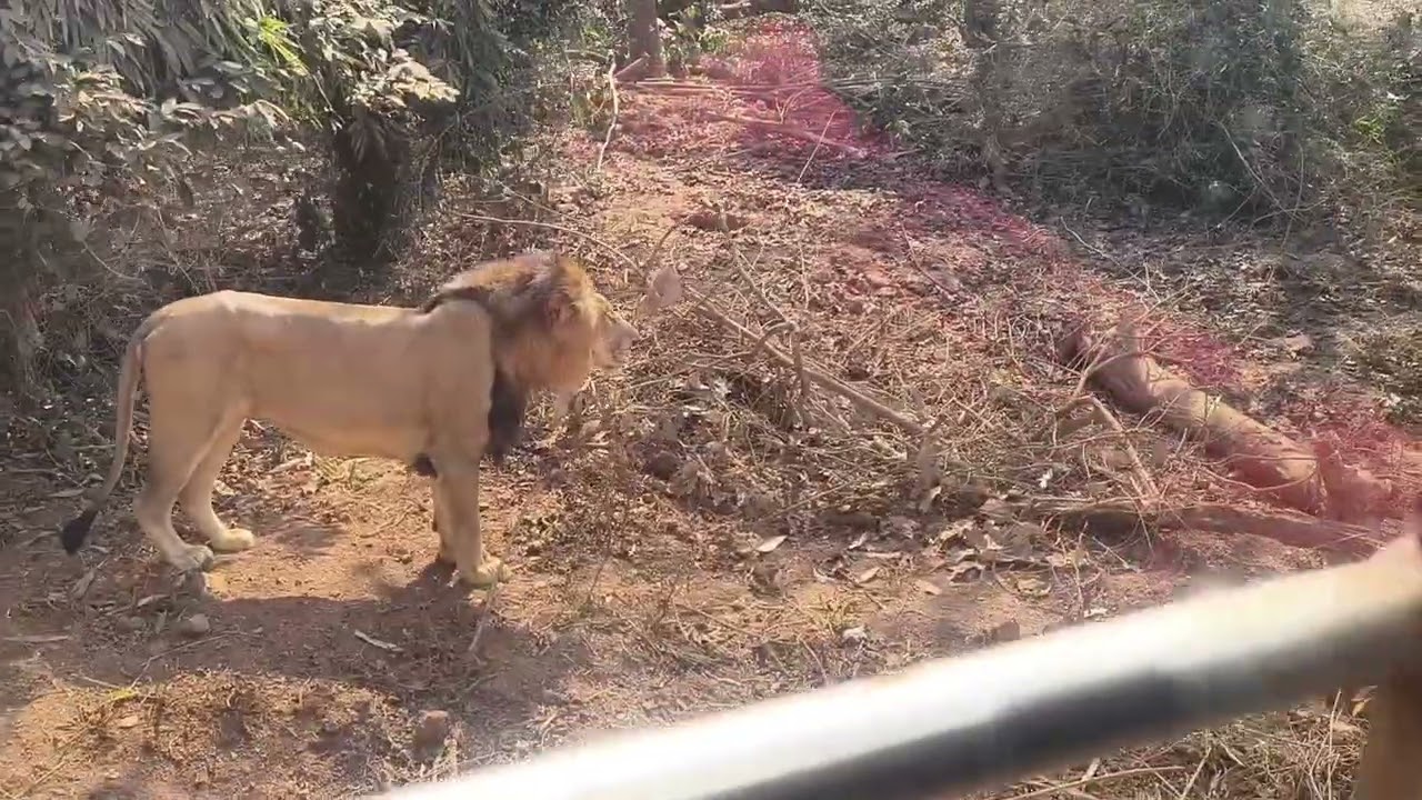 নন্দনকানন 