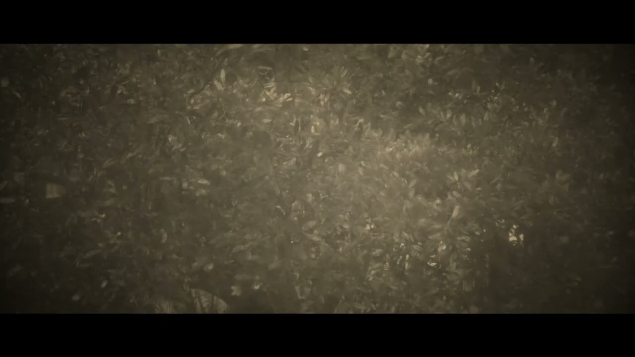 INDISTINCT BY CHRISTOPHER LIBERTINO