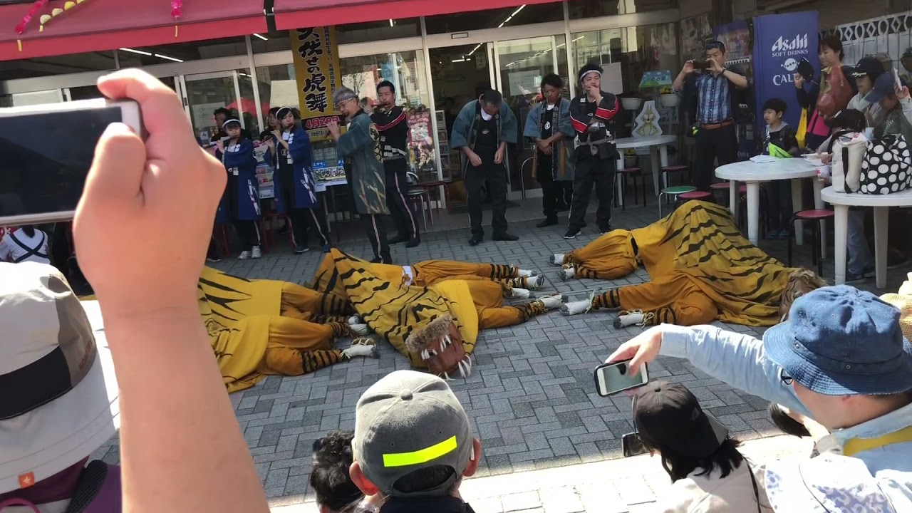 加美町初午祭り（虎舞）
