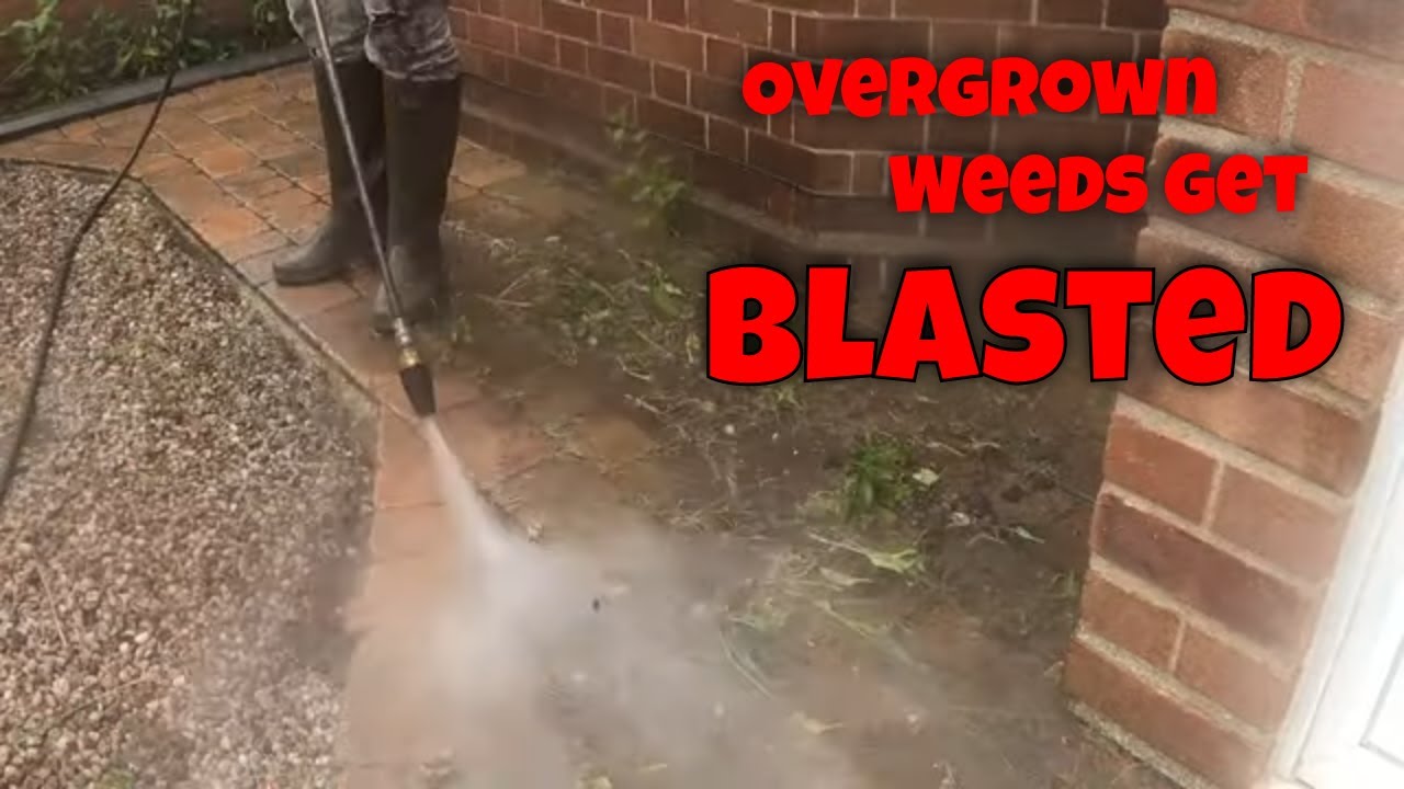 Landlord OUTRAGED 😡 As Previous Renters Leave This Block Paved Driveway A WEEDY, OVERGROWN MESS!!