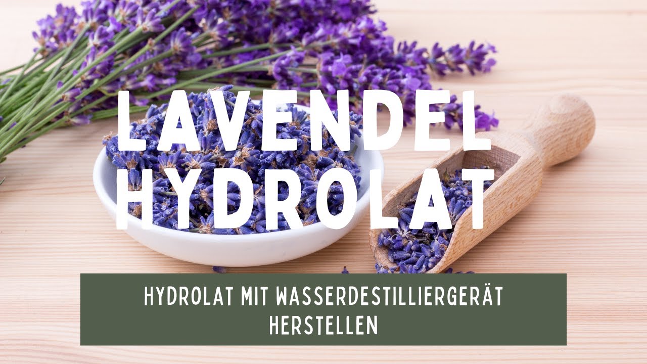 Lavendel Hydrolat mit Vevor Wasserdestilliergerät 4 Liter herstellen