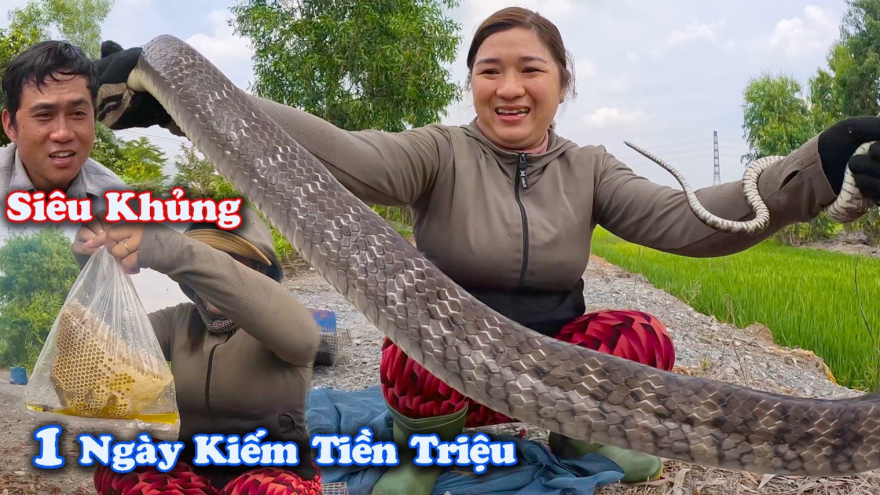 Nó Khủng Mà Còn Sọc Giống Như Hổ Mang Chúa # CSBR # 463
