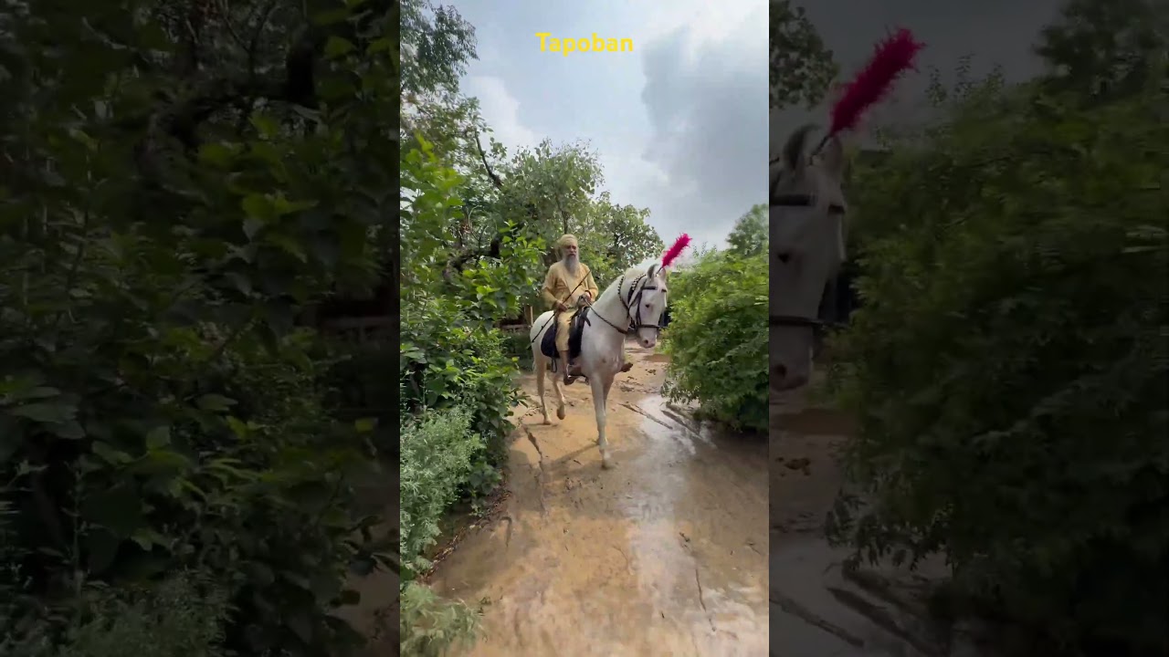 #sant #baba #darshan #singh #ji #tapobandhakkisahib #rainwater #horse