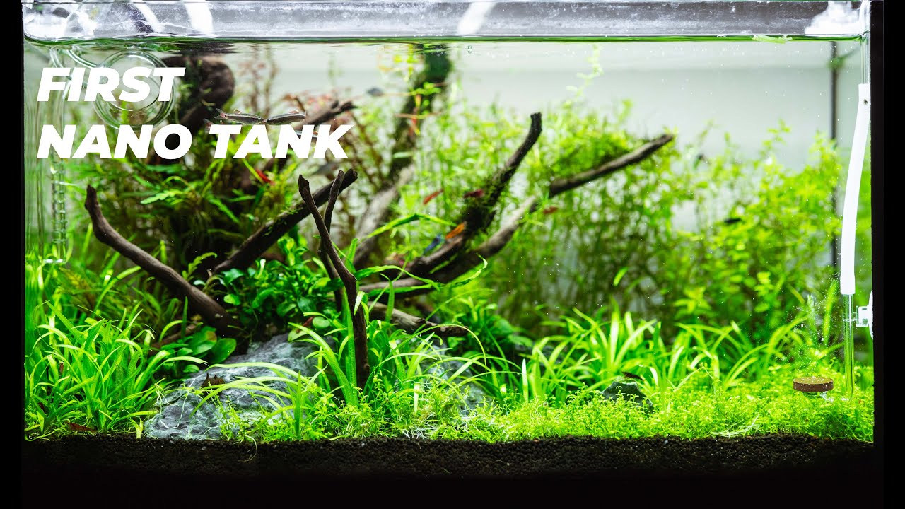 How To Make An Easy  Nano Aquarium