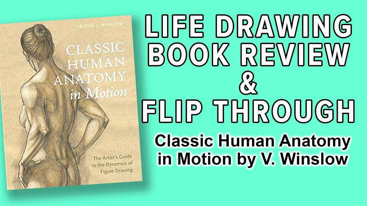 Classic Human Anatomy in Motion by Valerie L Winslow Book Review and Flip Through