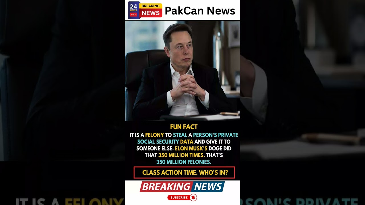 Elon Musk Faces Questions Over Access to Sensitive Government Data | PakCan News