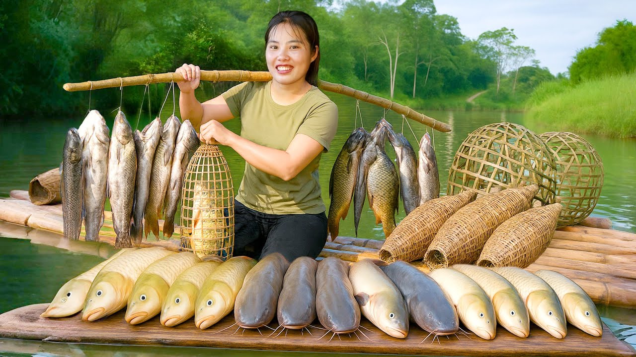 Harvest Giant Catfish and Carp by Hand using Bamboo Fish Trap in the River to Sell at the Market
