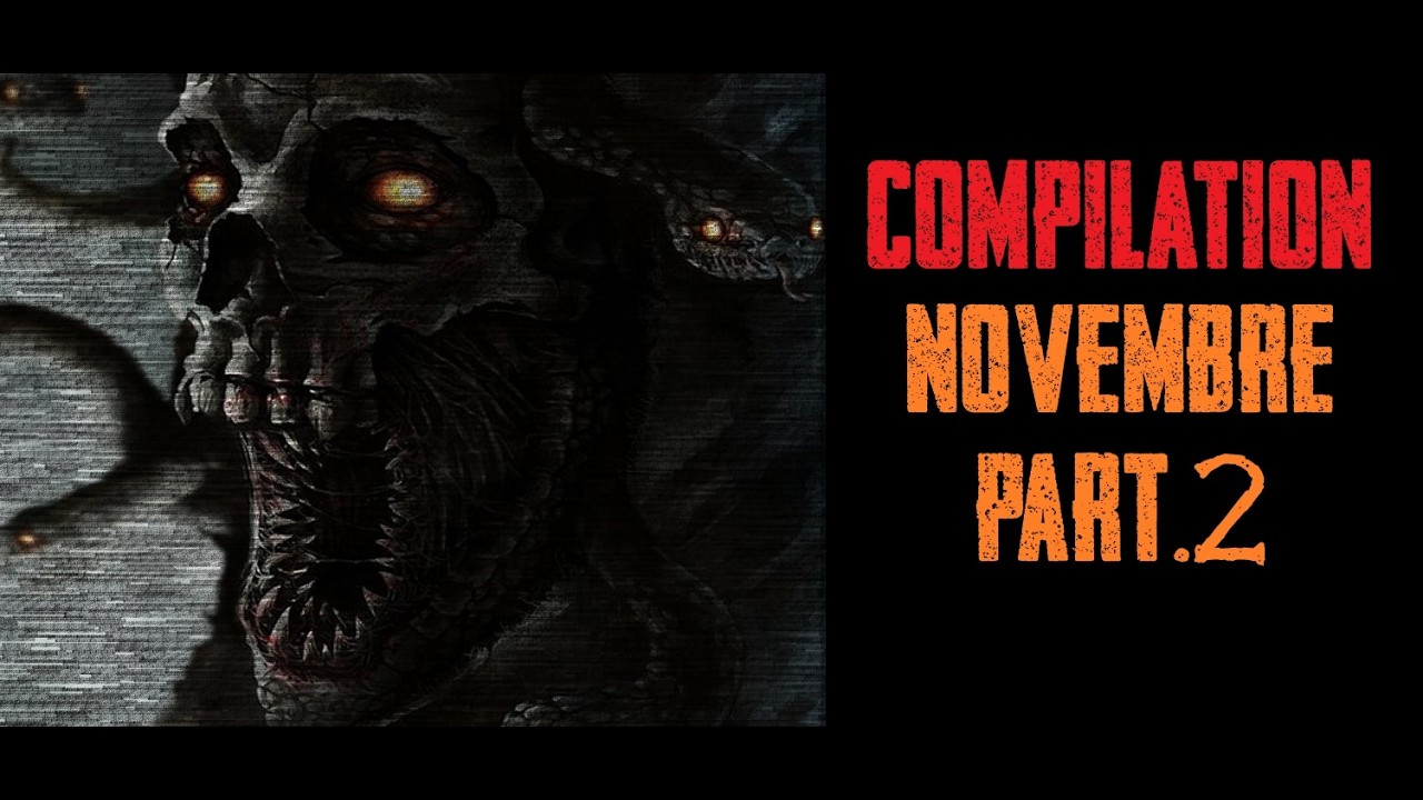 Compilation Novembre 2025 Part.2