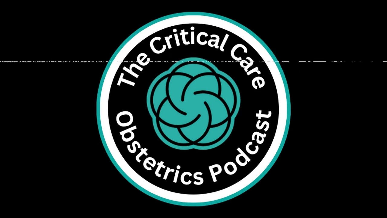 Role of Doula in High-Risk Pregnancies: Interview with HeHe Stewart