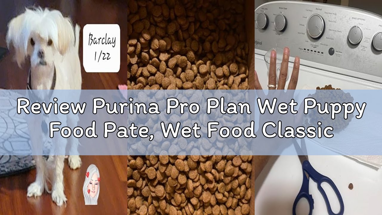 Review Purina Pro Plan Wet Puppy Food Pate, Wet Food Classic Chicken and Rice Entrée - (Pack of 12)