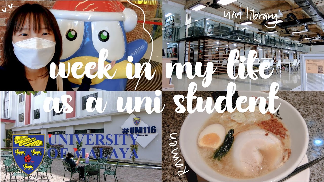 UM / Universiti Malaya Vlog / Pavilion / Don Don Donki / Machi Machi in Malaysia