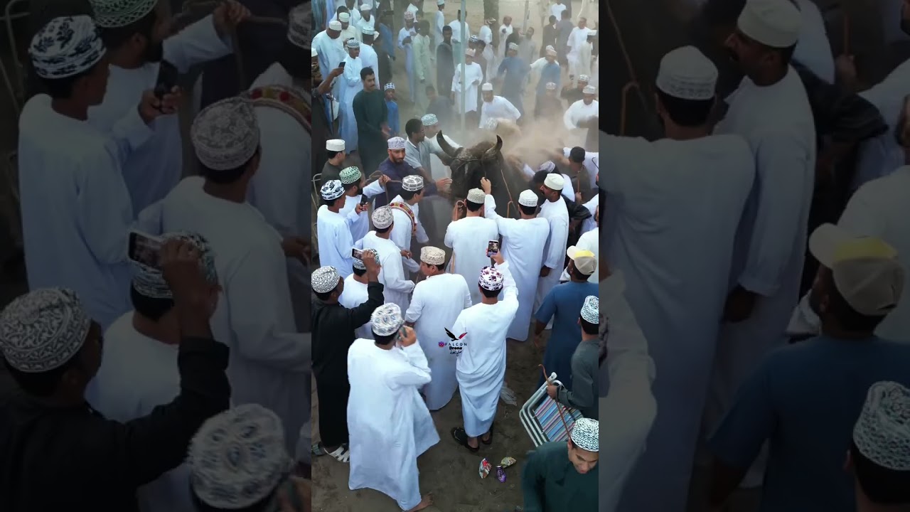 الشبابي و نار داس