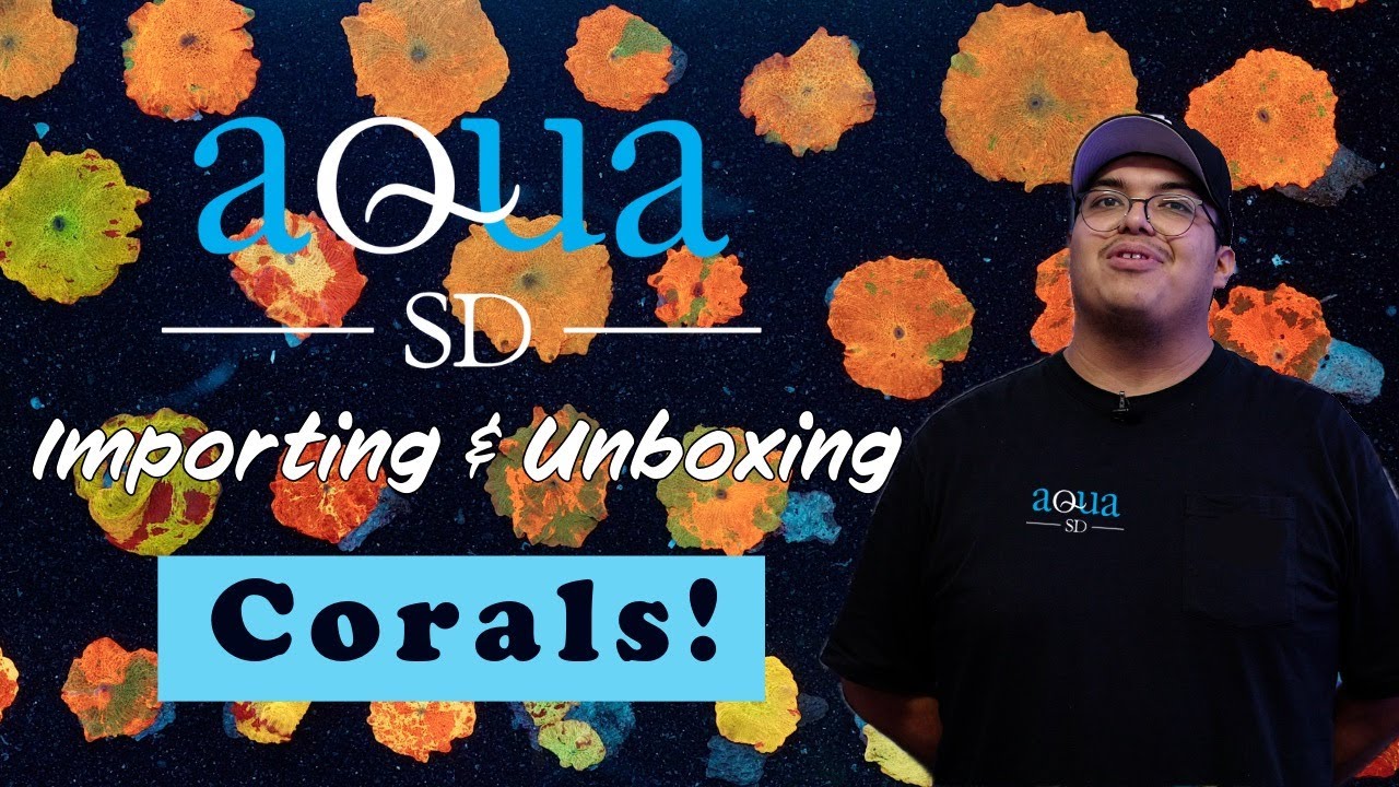 Aqua SD Youtube Video #4 - Coral Importing and Unboxing Video