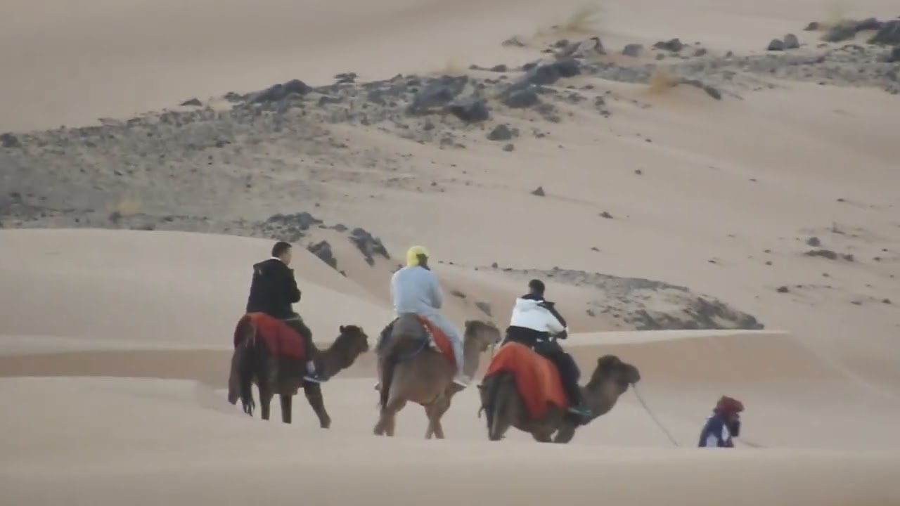 After the big-city buzz, we invite you to a calm night under the Sahara sky near Merzouga.