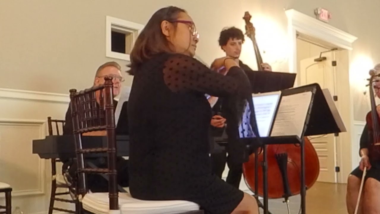 Bach - Air On G - Violin, Piano & Bass by Serenata Strings DFW