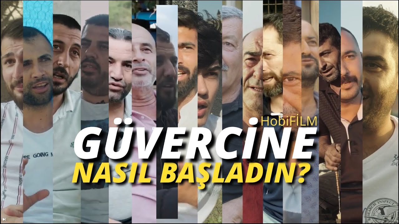 Güvercin Hikayeleri