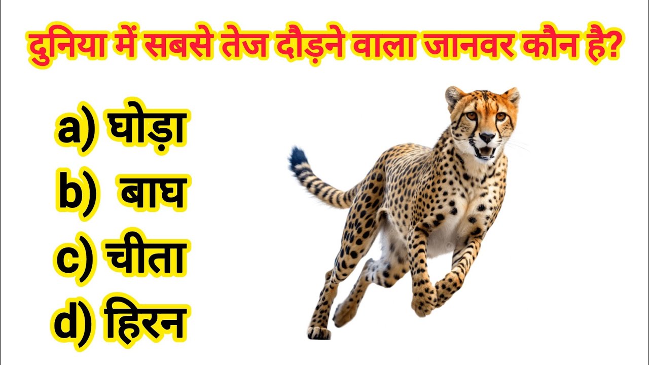 GK Question || Gk in hindi ll Viral GK video 