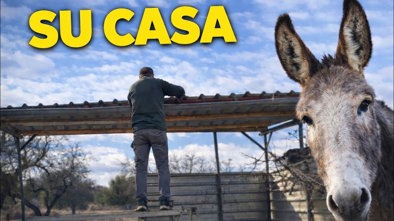 La casa que estamos construyendo para Felipito | Cap 1