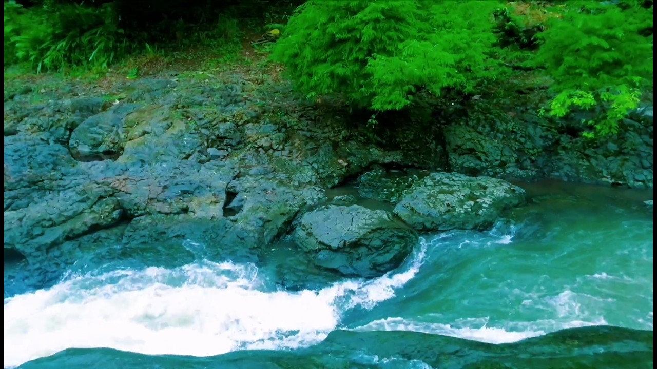 Tranquil River Ambience – Soft Stream and Forest Sounds for Deep Sleep and Inner Peace