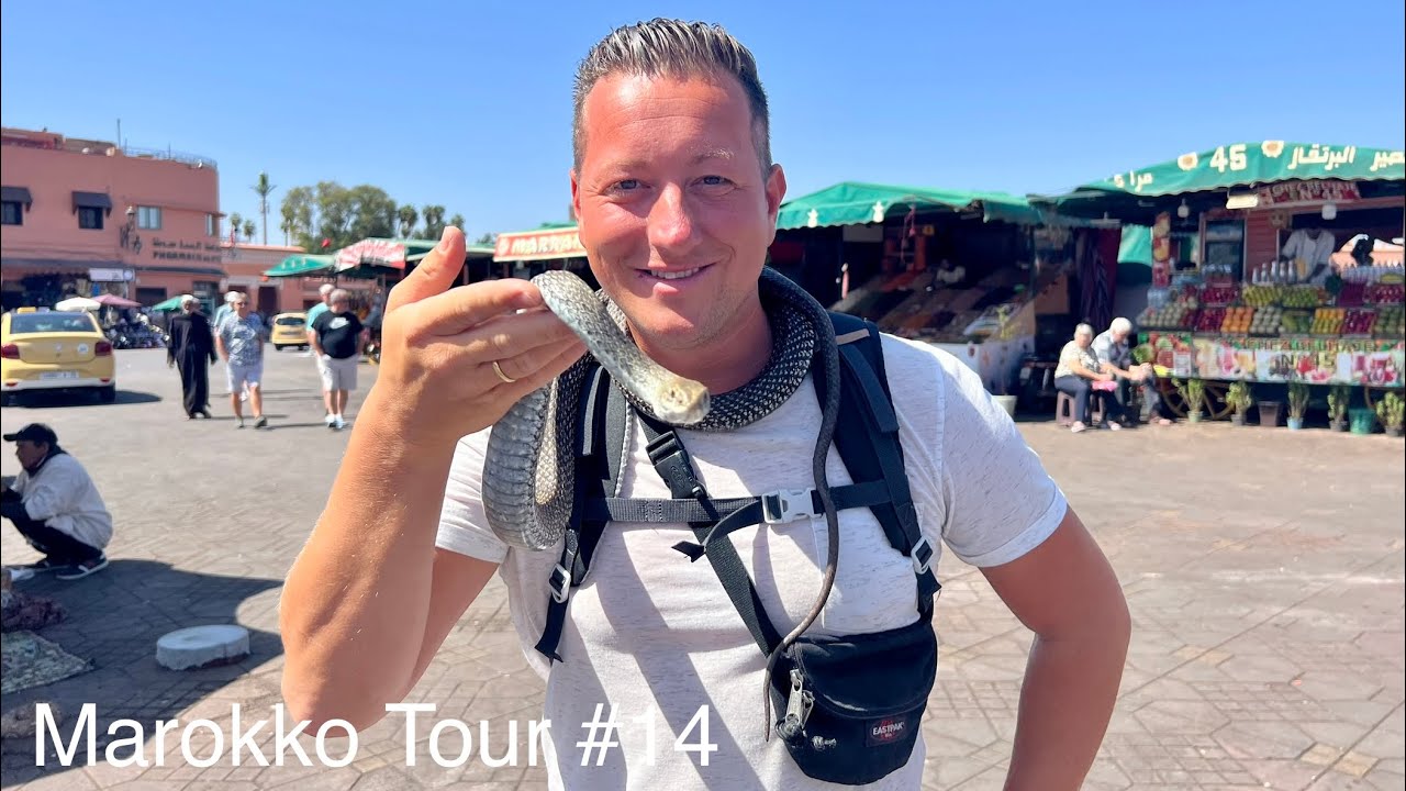 🇲🇦 Marokko Tour #14 - Gefühlschaos in Marrakesch | Medina | Markt | Stadtrundfahrt