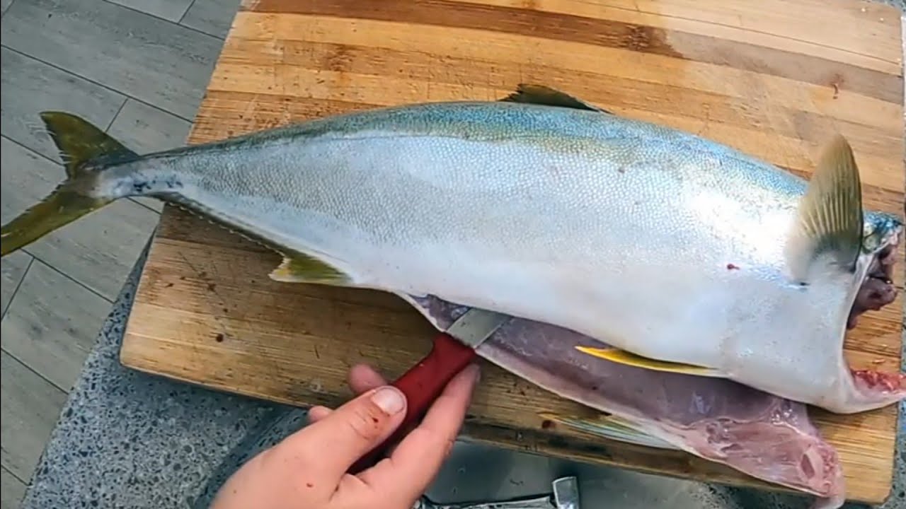 Cape point Yellowtail/Kingfish(catch and cook)