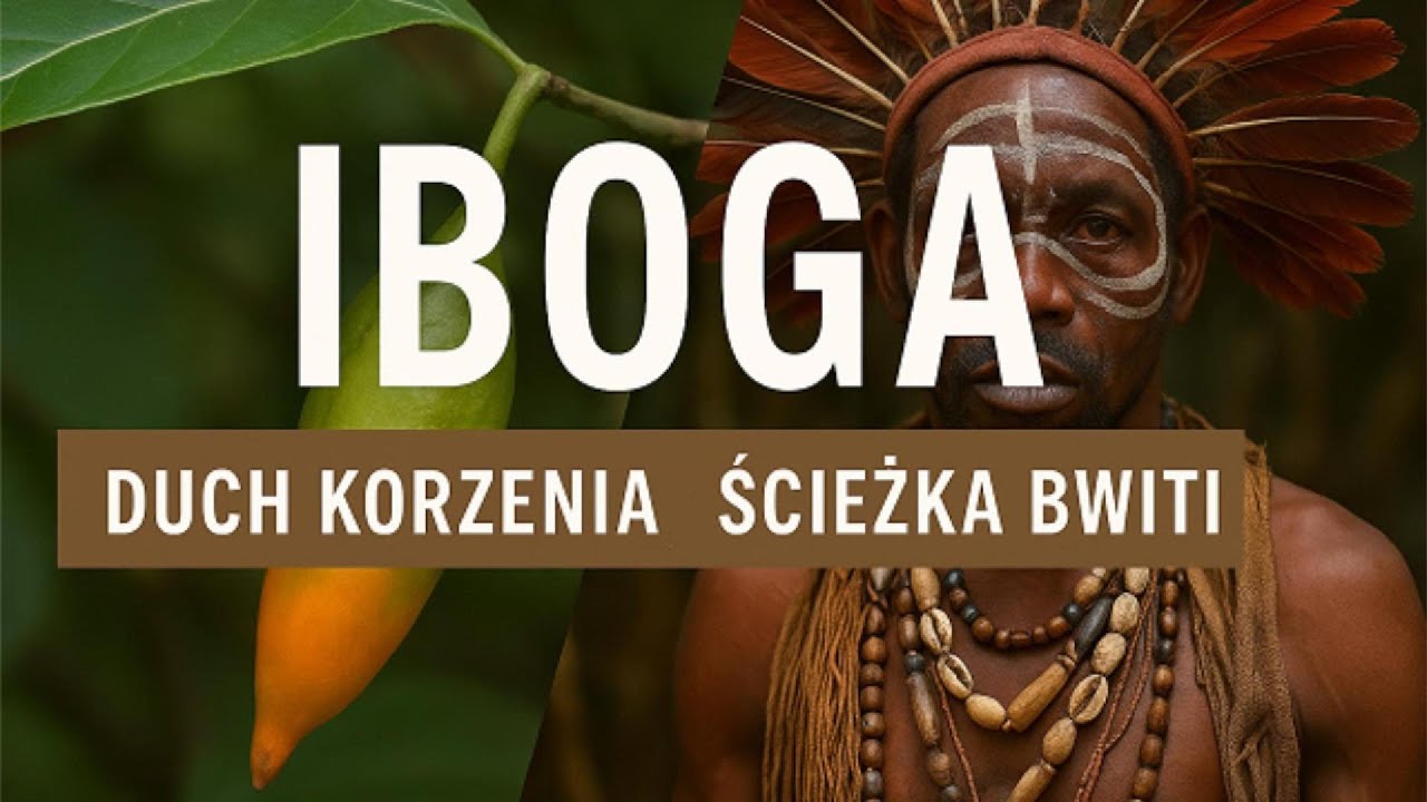 Iboga - duch korzenia.Ścieżka Bwiti.