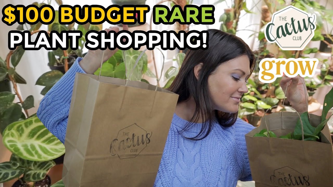 $100 BUDGET Rare Plant Shopping & Houseplant Haul! Plant Shop With Me Charlotte, NC