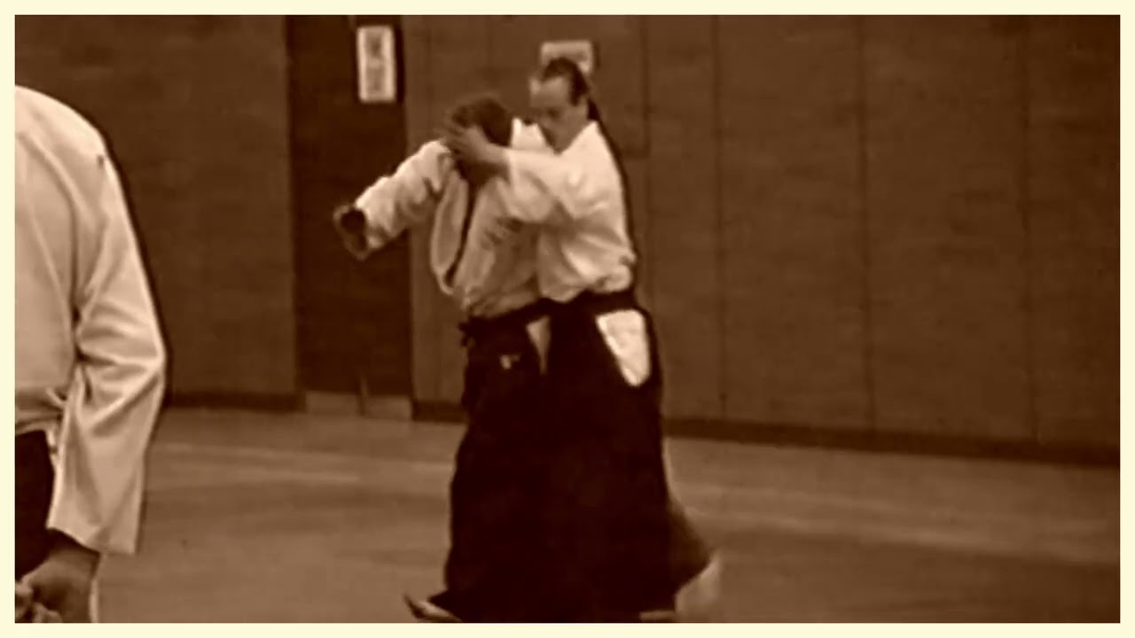 Aikido : Aikido in the 90's