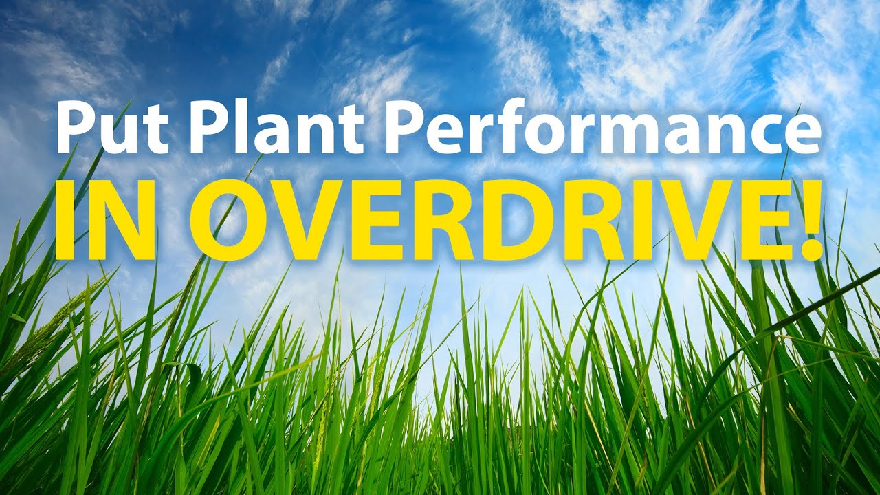 2 Minute Turf Talk - Put Plant Performance In Overdrive