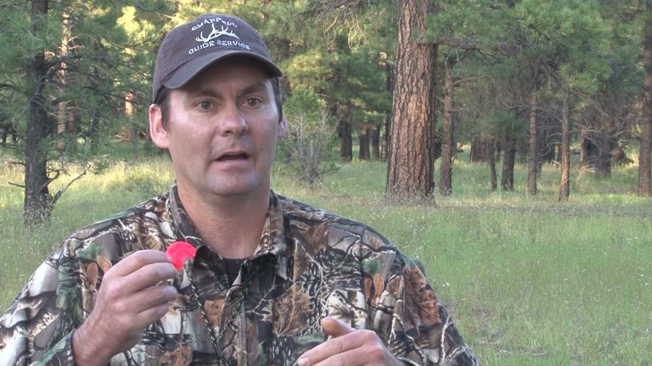 Elk Calling- Tips on Cow Calls with Steve Chappell