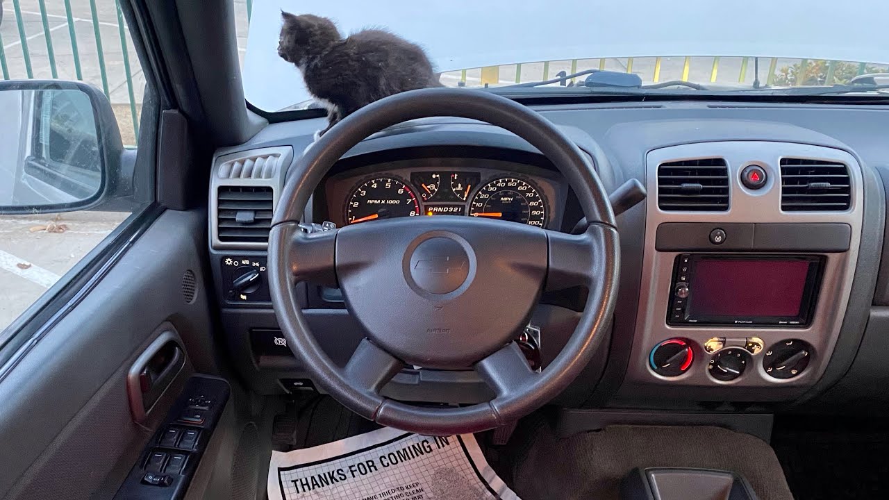 2005 Chevrolet Colorado ASMR RELAXING POV BABY CAT TEST DRIVE