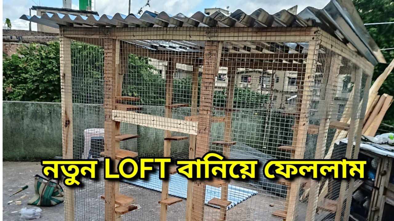 NEW PIGEON LOFT MAKING | UNIQUE PIGEON LOFT MAKING IDEAS | PIGEON REST ROOM ADDAGHAR