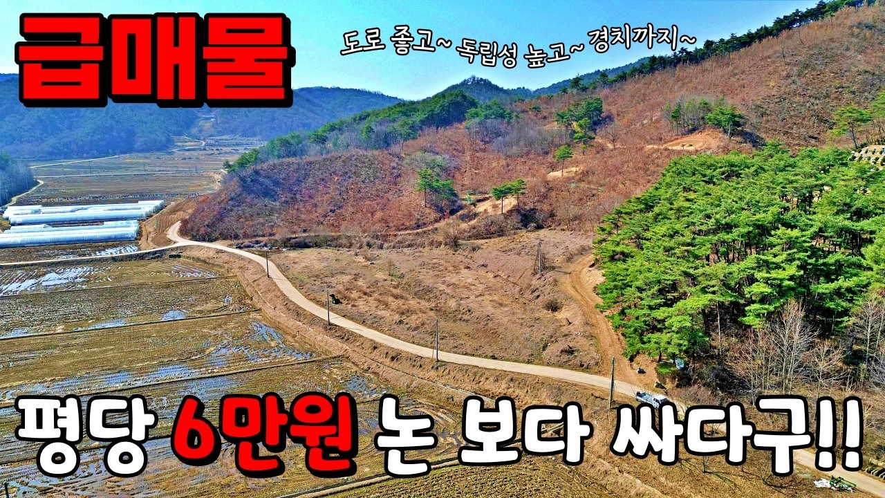 (NO.8682) 급매물 논보다싸다구!! 평당6만원 넓은 전 보전관리지역