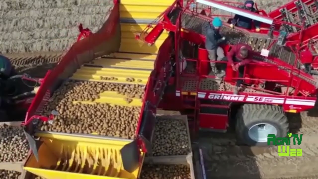 Les avantages et les limites des grands projets agricoles