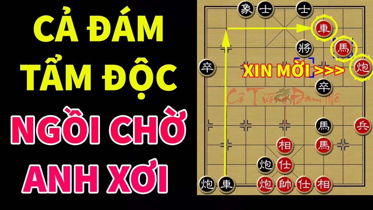 Cách Bày Trận Cờ Tướng Khiến Cao Thủ Kêu Trời: Cả Đám Xe Pháo Mã Đều Tẩm Độc Hay Sao???