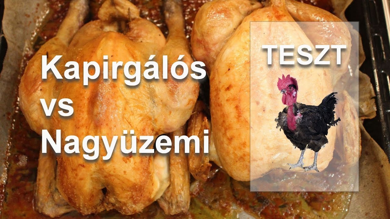 Kapirg&aacute;l&oacute;s vs Nagy&uuml;zemi | H&uacute;sim&aacute;d&oacute; VLOG #11/1