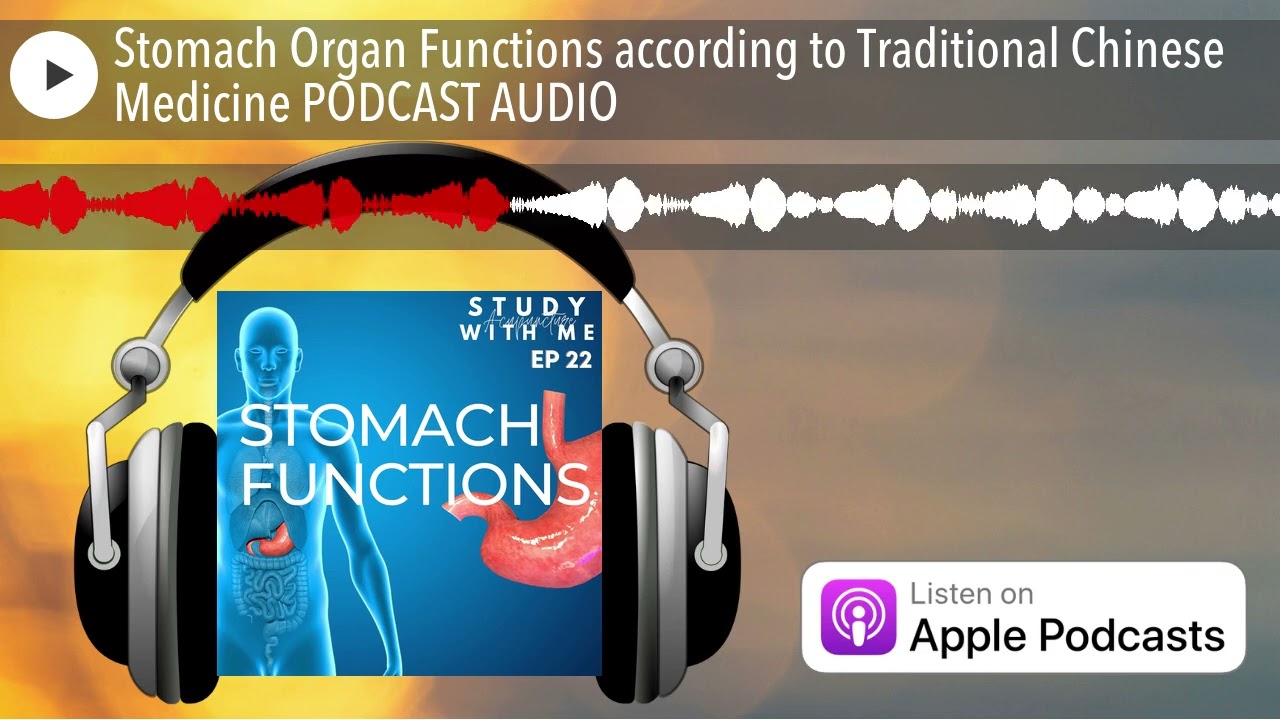 TCM Stomach Organ Functions