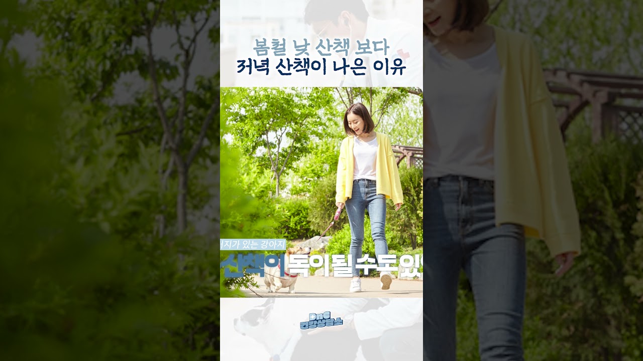 봄엔 저녁 산책하세요!