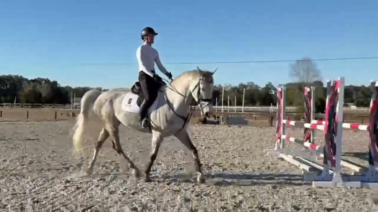 Finn Sales Video January 2026