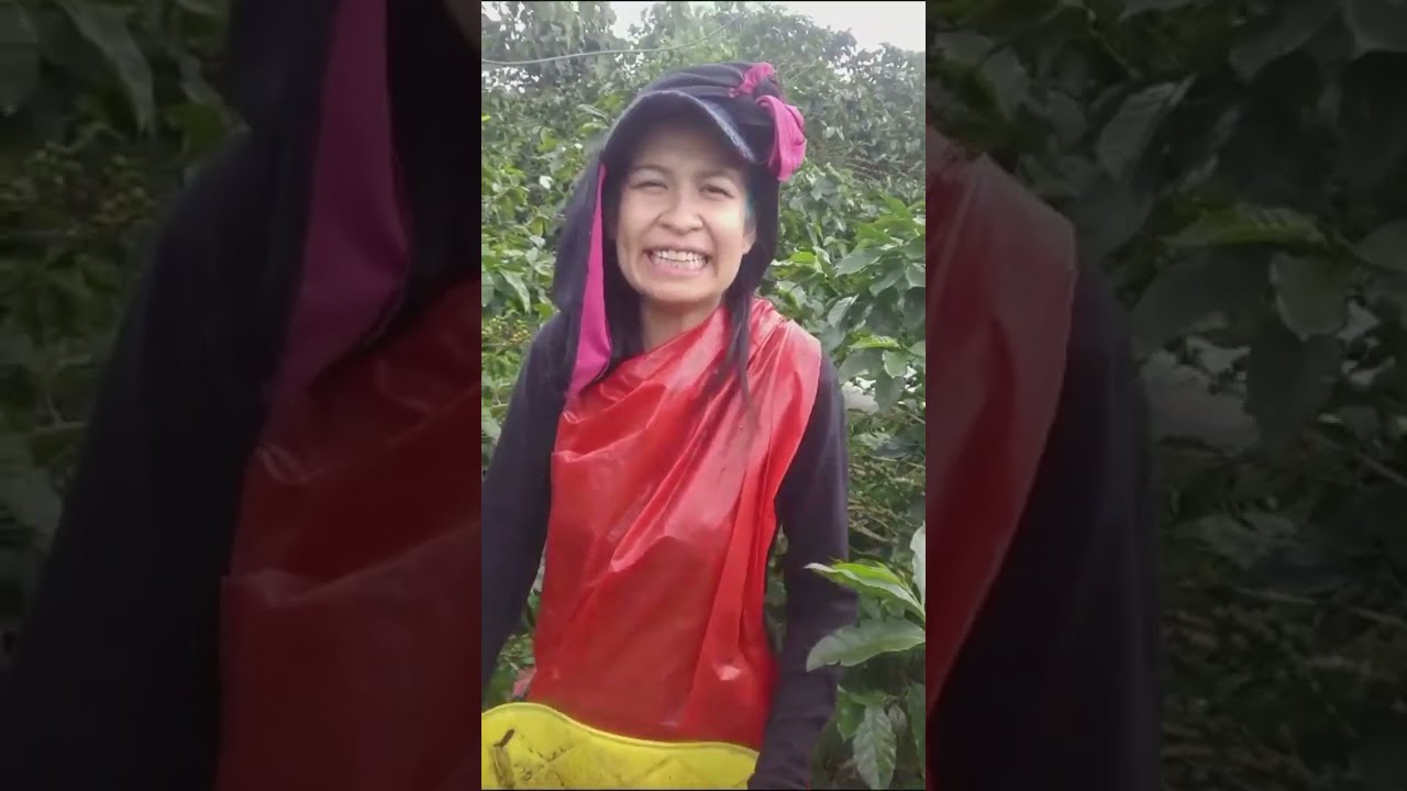 mis flecha y mis toxica en la piedra del pe&ntilde;&oacute;n cojiendo cafe