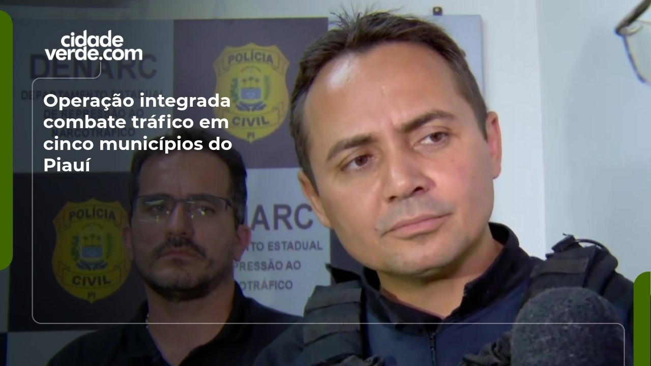 Operação integrada combate tráfico em cinco municípios do Piauí