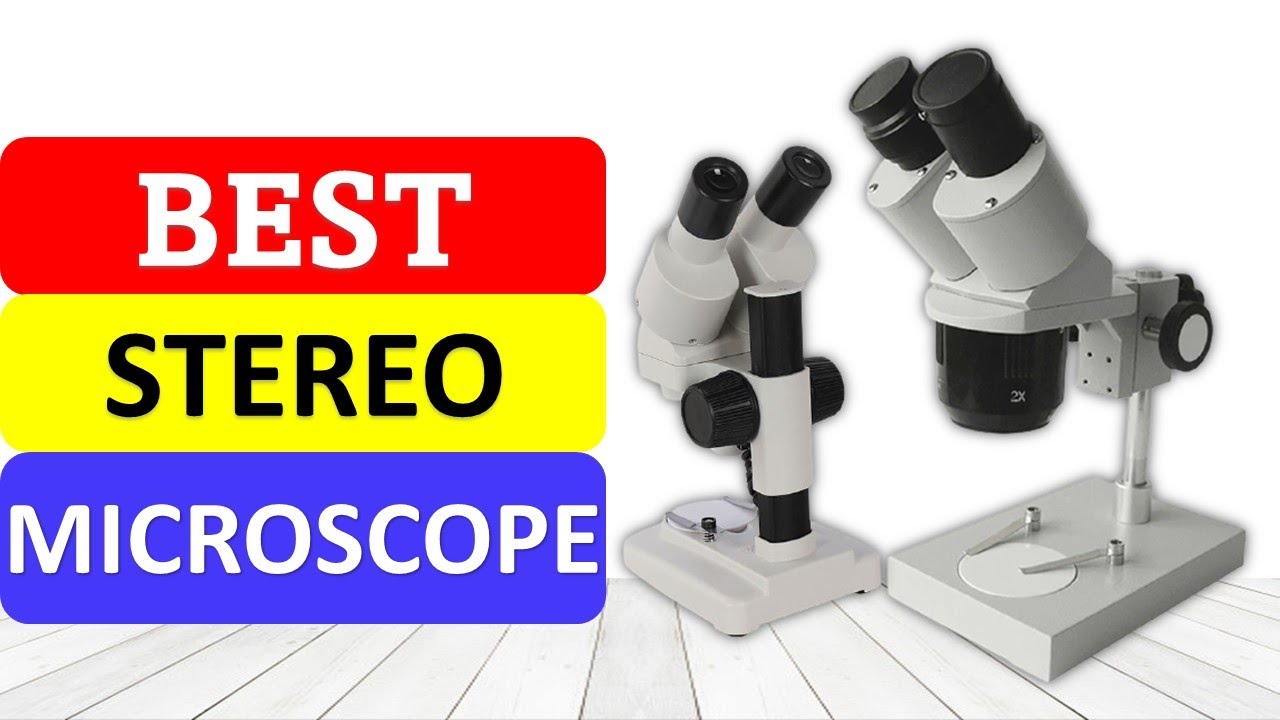 TOP 10 Best Stereo Microscope in 2022