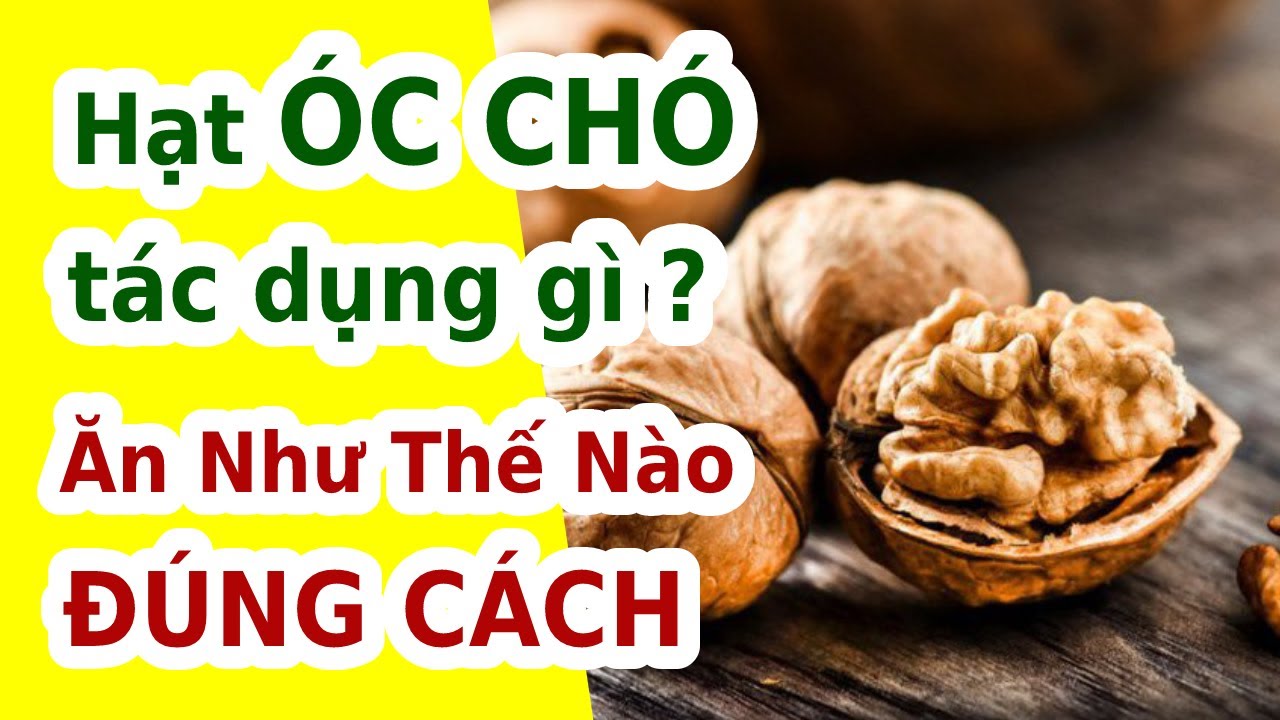 HẠT &Oacute;C CH&Oacute; C&Oacute; T&Aacute;C DỤNG G&Igrave; ? Ăn Như Thế N&agrave;o Đ&Uacute;NG C&Aacute;CH ? EVA COCO
