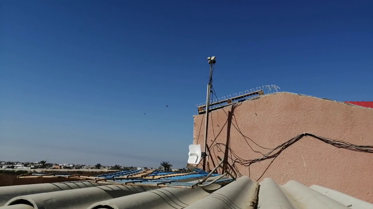 حصلنا على المركز الثالث في سباق الوطني من بغداد طيور ابو حيدر جزيره المسافه ٤٣٠ كيلو جوي