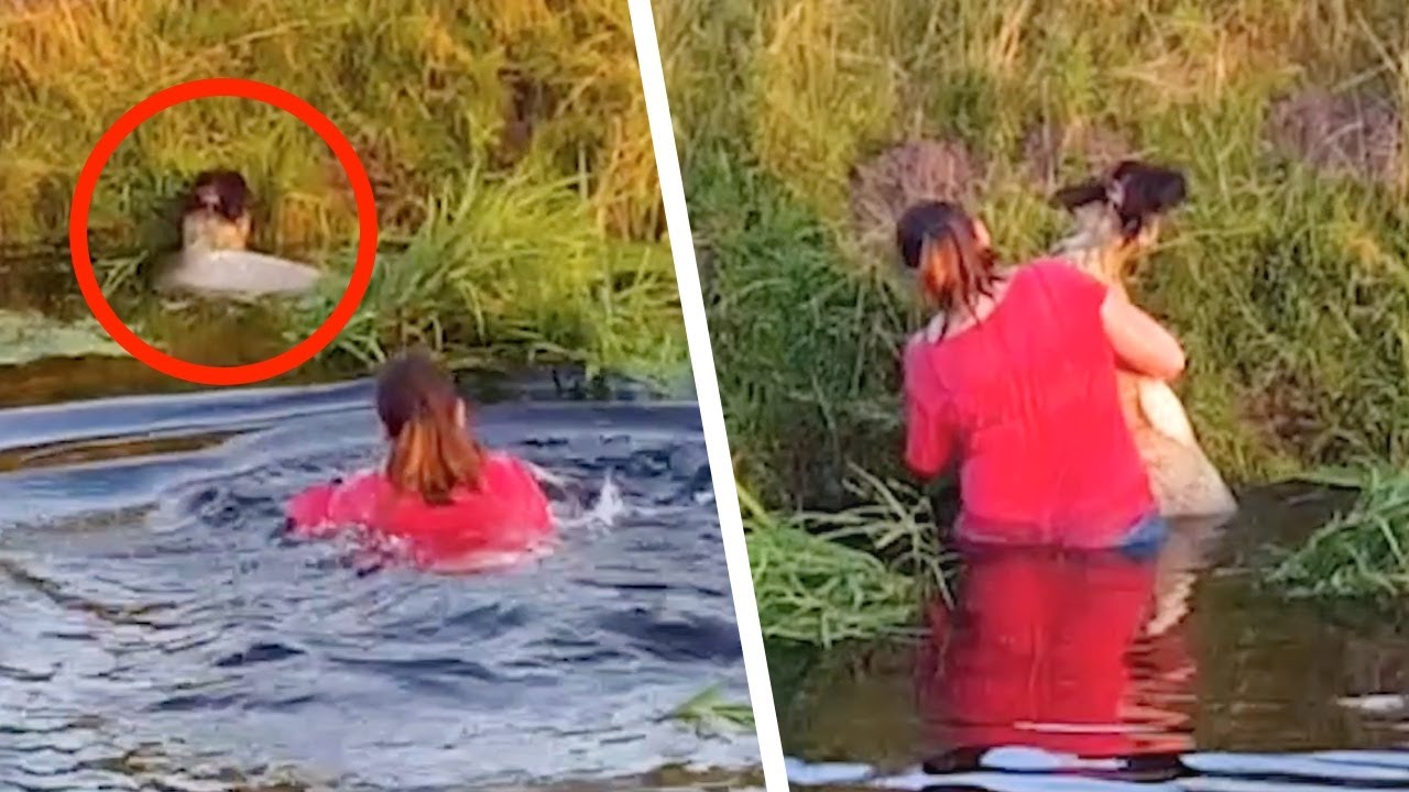Lorsque la passante voit ce qui flotte dans l'eau, elle n'hésite pas une seconde