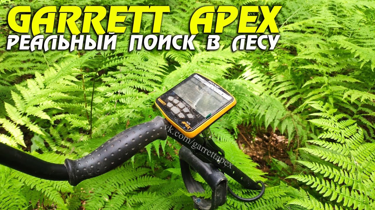 Что можно найти с металлоискателем Garrett Apex в лесу? Прошивка 1.28.1