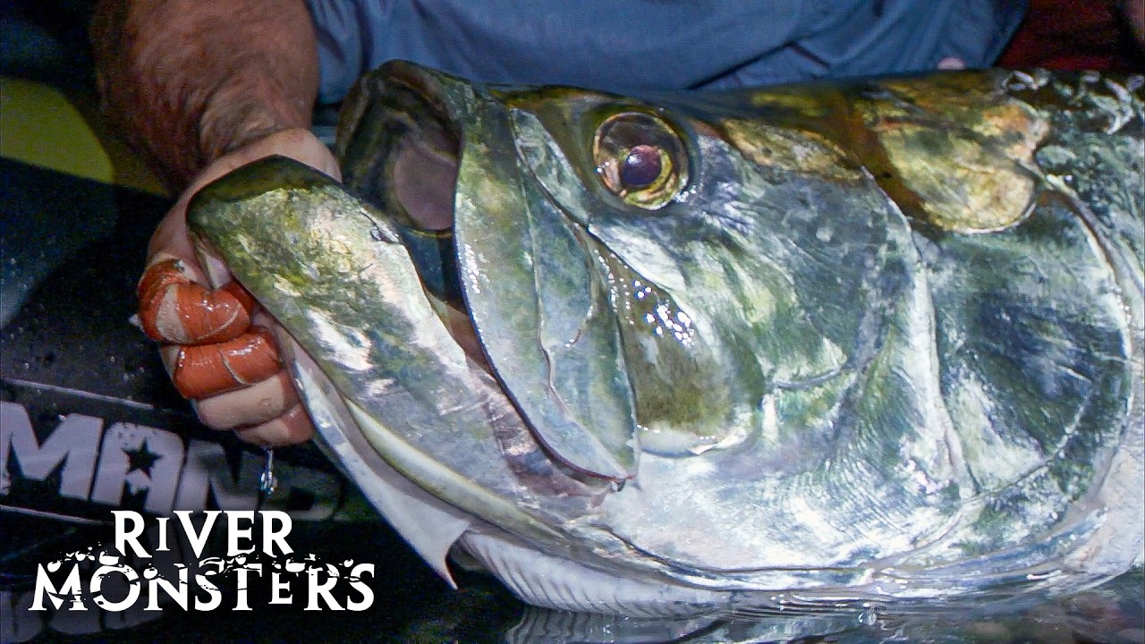 River Monsters Full Episode - Season 5, Episode 1 - Killer Torpedo