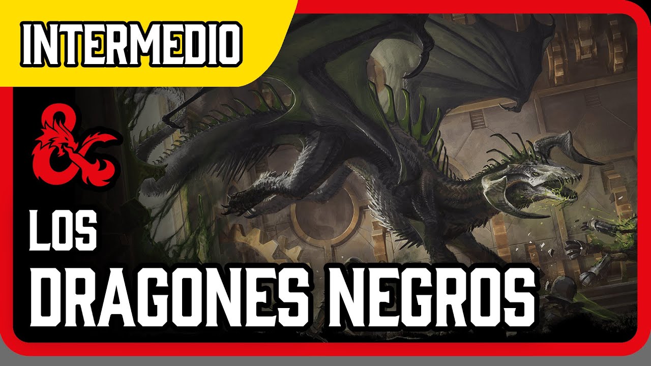 Dragones negros en D&D 2024: ácido, crueldad y ruinas olvidadas | #dungeonsanddragons #dnd5e