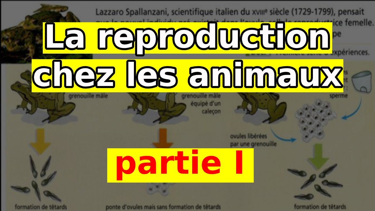 La reproduction chez les animaux 2AC BIOF partie 1